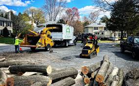 Best Utility Line Clearance  in Hidden Hills, CA