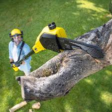Leaf Removal in Hidden Hills, CA
