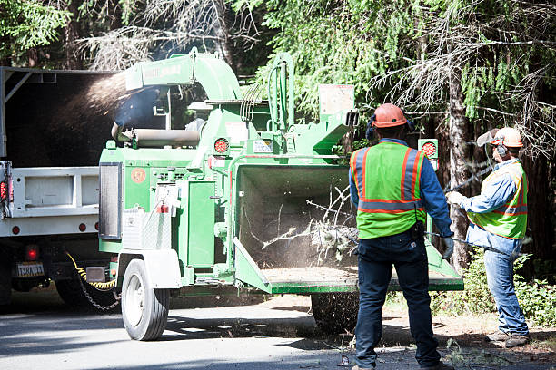 Best Seasonal Cleanup (Spring/Fall)  in Hidden Hills, CA