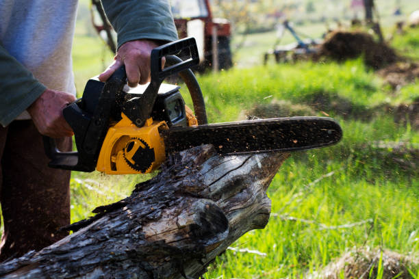 Best Lot and Land Clearing  in Hidden Hills, CA